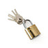 Godrej, Stellar Brass Coated Padlock, 32mm