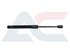 Bonnet Gas Strut for BMW 1/2/3/4 Series F20-F36 (2011-2021) - TTL2406T