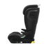 Thule Palm Booster Seat