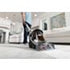 Hoover Powerdash Carpet Washer - CDCW-PDME