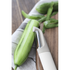 Kitchen Inspire Straight Peeler