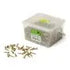 Chipboard Screws, Square, No.8, 4mm x 25mm, 1000 Pieces