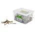 Chipboard Screws, Square, No.8, 4mm x 50mm, 400 Pieces