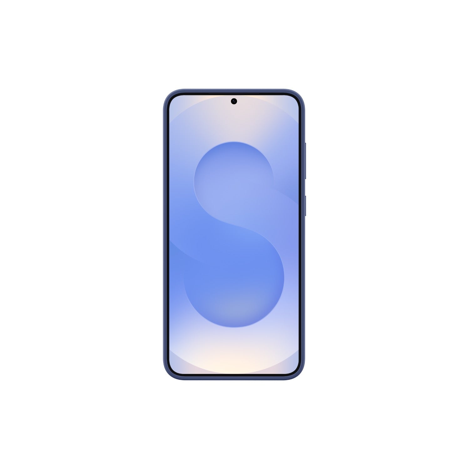 Samsung Silicone Cover - Samsung Galaxy S25+ - Blue