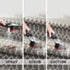 Hoover Cleanslate Complete Spot Washer - CDSW-MPMC