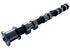 FEMO - TRCAMEXH - Camshaft