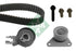 INA 530046710 Timing Belt Set – Compatible with Ford Focus, Kuga 2.5 Hyda, Jzda, Hydc, Hydb Volvo C30, C70, S60, V40