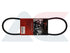 Fan Belt Jetta 2 (T-209)