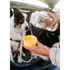 LocknLock Pet Water Bottle & Bowl 1lt