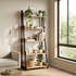 Aegla Bookshelf