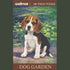 Puzzle, Dog, Beagle