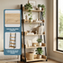 Aegla Bookshelf