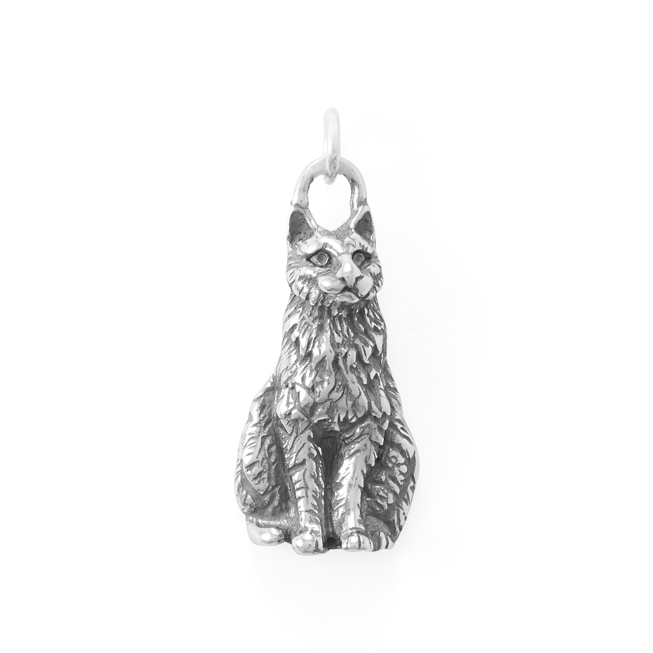 Oxidized Purr-ecious Cat Charm