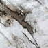 Wall Sheet, Gilded Veil, 1200mm x 3000mm x 2mm