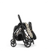 Selfie Stroller - Peg Perego Made in Italy