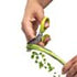Creative Cooking Herb Scissors - CC-246
