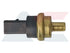 FAE Coolant Temperature Sensor 2-Pin for Audi & VW 1.6/2.0 TDI - 33784