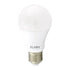 Flash, A60, E27, 12 Watt, LED Lamp, Daylight