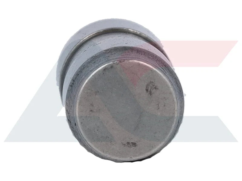Hydraulic Valve Lifter Cam Follower Tappet for Audi VW Opel Peugeot and More HT83050Z