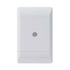CBI Socket TV Module 100x50 White TV678-P