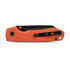 Vosteed Raccoon A2931