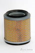 ADG770 Air Filter Mazda/Ford (GUD)