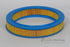 AG764 Air Filter Ford (GUD)