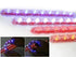 Universal LED Yellow Strip Bat Eyes 2cm x 25cm