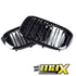 BM X3 G01-Series (19-22) Piano Black Double Slat Kidney Grille