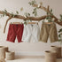Baby Chino Shorts