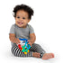 Baby Einstein Sea Sensory Teether Toy