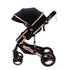 Bee Black & Gold Stroller