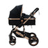 Bee Black & Gold Stroller