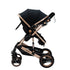 Bee Black & Gold Stroller