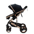 Bee Black & Gold Stroller