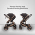 Bee Black & Gold Stroller