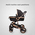 Bee Black & Gold Stroller