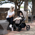 Bella III Stroller