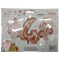 Casey 13pc Rose Gold and White Balloon Set Nr 4