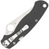 Spyderco Paramilitary 2 Maxamet C81GPDGY2