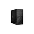 IN WIN EFS052.CH450TB3 MicroATX 12V Form Factor, PSII Size Power Supply  Mini Tower Computer Case (Black) | SKU CA-EFS52B3