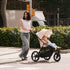 Cybex Avi Spin Stroller