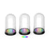 DOBE TY-3803S RGB LED light Clear Acrylic Display Case Semi-Circular Figure case Dustproof Protection Showcase for Action Figures Toys Collectibles | SKU DB-TY3803S