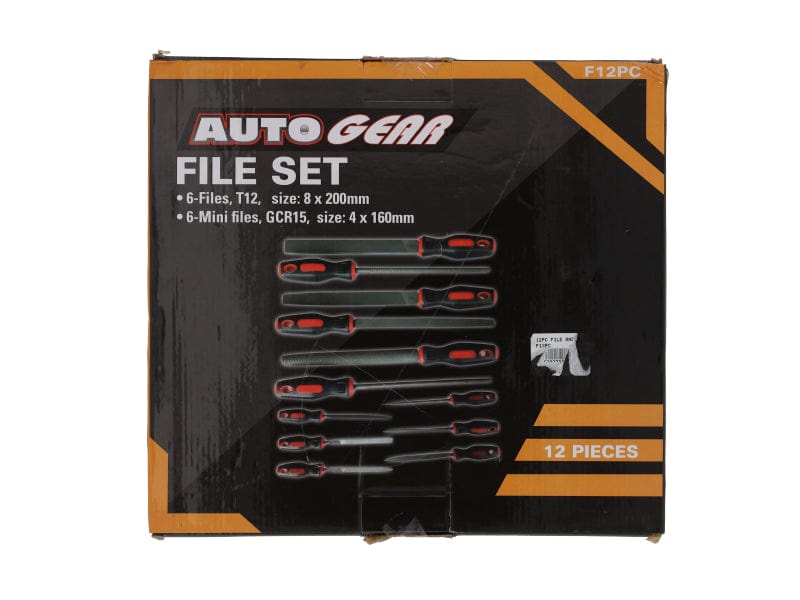 12 Piece File And Rasp Set