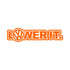 Vinyl Sticker with VW LowerIt Design – Grey