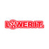 VW 4 Motion Racing Flag Design Door Vinyl Stripe Sticker Kit