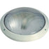 Euro Bulkhead 1x16W 2D Round Plastic with Clear Polycarbonate Cover White