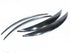 Universal Black wheel Arches (set)