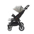 Duet Side by Side Stroller