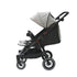 Duet Side by Side Stroller